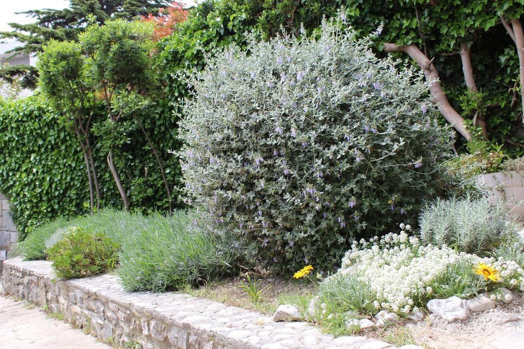 Apartment Nela And Vito Split Rom bilde